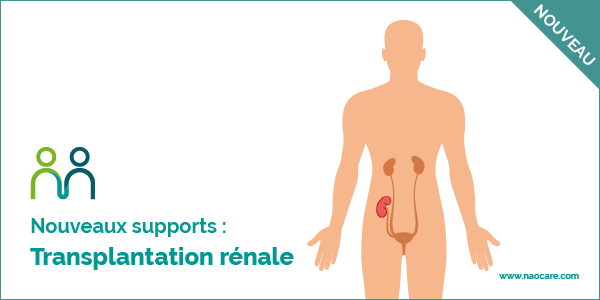 Transplantation rénale